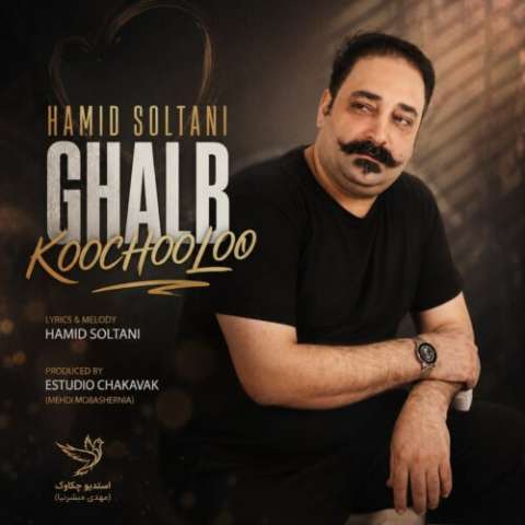 دانلود آهنگ حمید سلطانی به نام قلب کوچولو