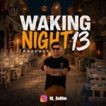 دانلود آهنگ دیجی سلیم به نام Waking Night 13 دانلود آهنگ دیجی سلیم به نام Waking Night 13
